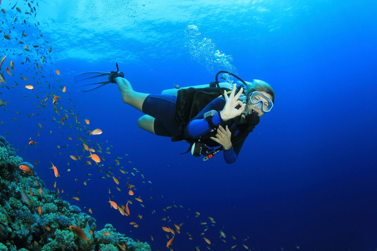 Scuba Diving Goa