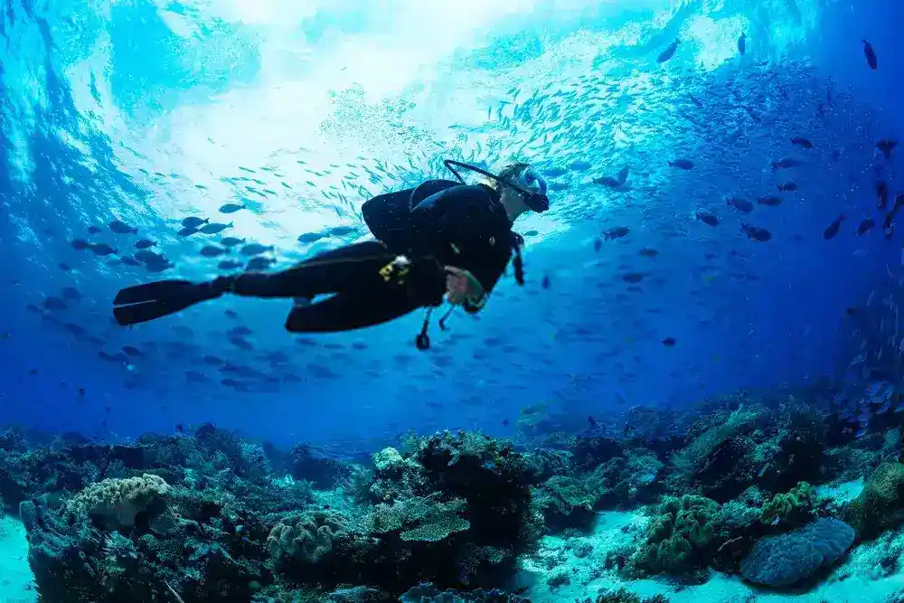 Grand Island Scuba Diving